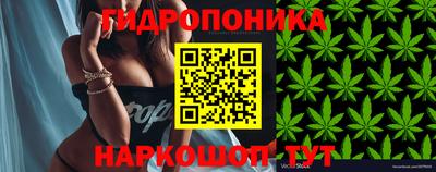 крисы Чебаркуль