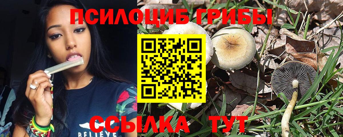 Псилоцибиновые грибы GOLDEN TEACHER Касимов